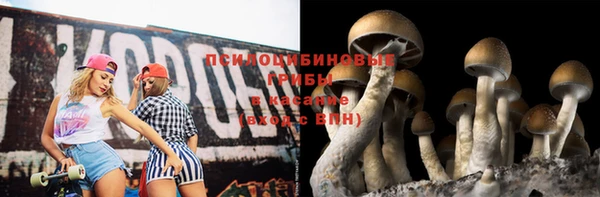 стаф Арсеньев