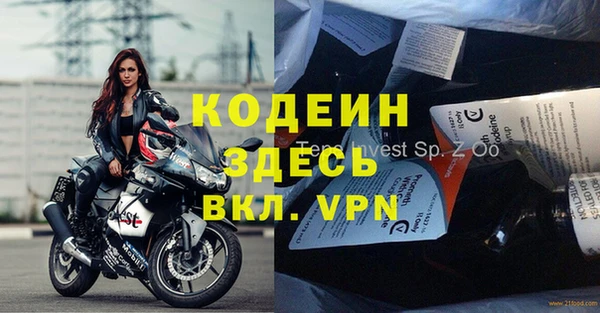стаф Арсеньев