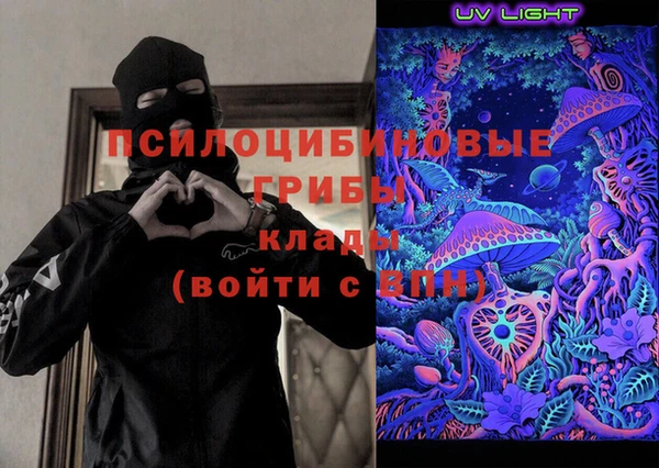 стаф Арсеньев