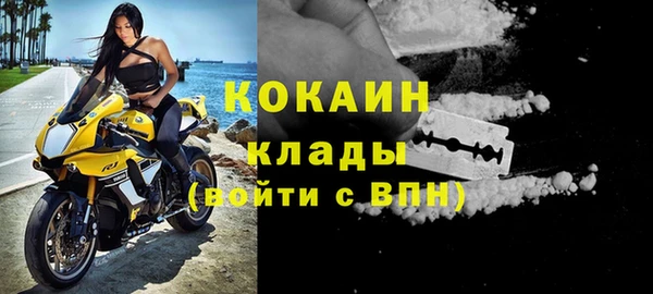 стаф Арсеньев