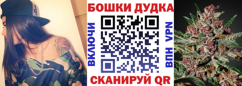 Конопля гибрид  Пыть-Ях 